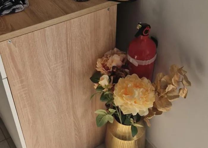 Plein Sud Au Calme Διαμέρισμα