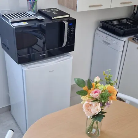 Plein Sud Au Calme Apartman Montauban