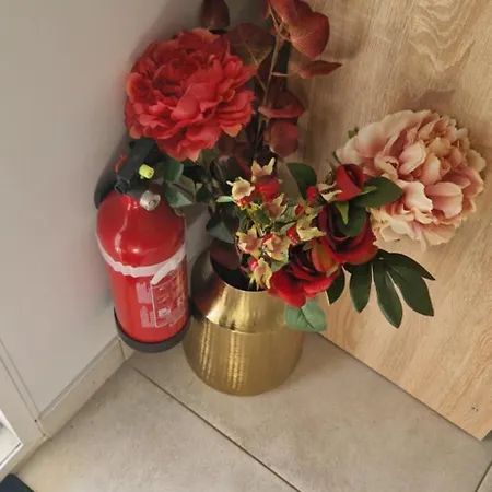 Plein Sud Au Calme Montauban