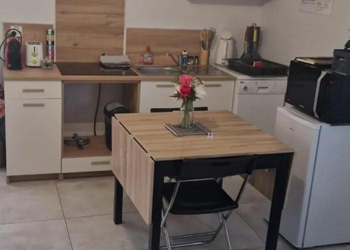 Plein Sud Au Calme アパート モントーバン