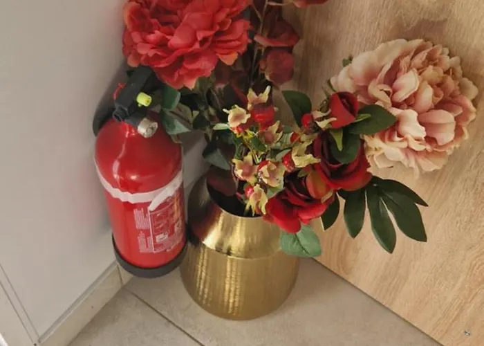 Plein Sud Au Calme モントーバン